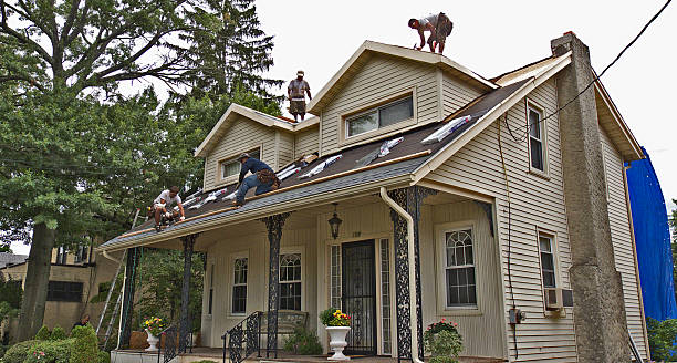 Best Roof Repair Services  in Caledonia, MI